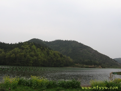 轻音乐：故乡的原风景