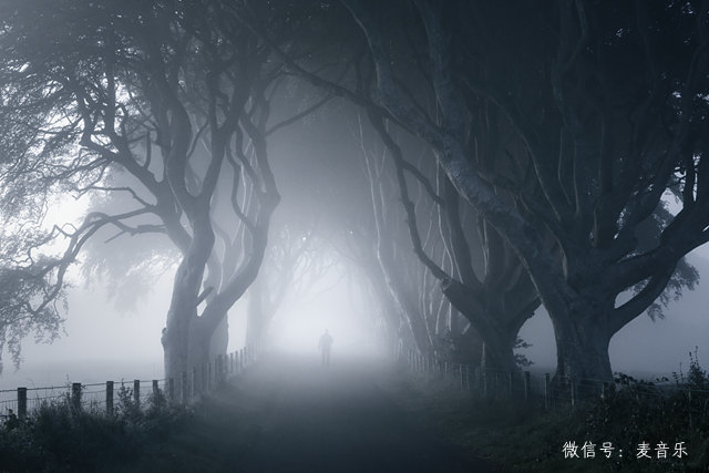 the-dark-hedges-by-marius-kastečkas_640