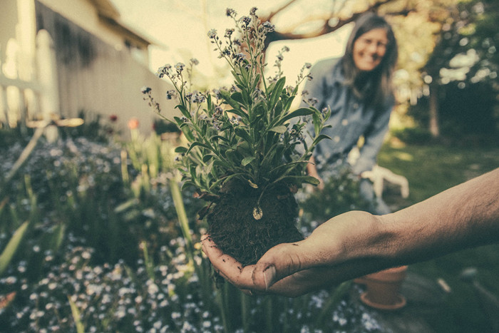 planting-865294_700